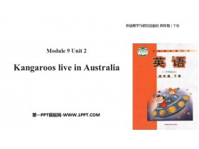 Kangaroos live in AustraliaPPŤWn