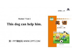 This dog can help himPPŤWn