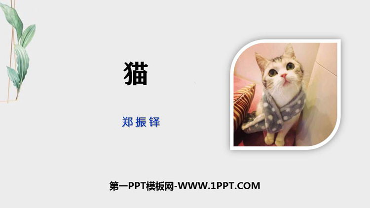 部编版七年级语文上册 《猫》PPT教学课件下载