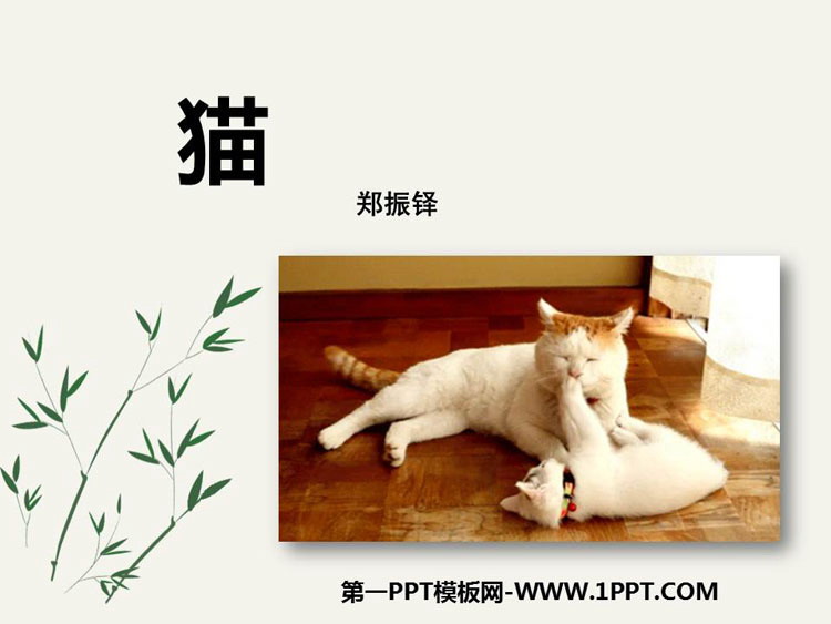 《猫》PPT免费课件下载-预览图01