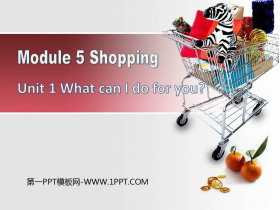 What can I do for you?Shopping PPTƷn