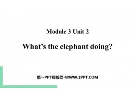 What's the elephant doing?PPTnd