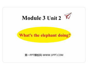 What's the elephant doing?PPŤWn