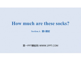 How much are these socks?SectionA PPT(1nr)