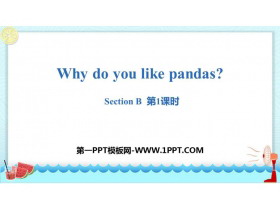 Why do you like pandas?SectionB PPT(1nr)