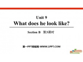 What does he look like?SectionB PPTn(3nr)