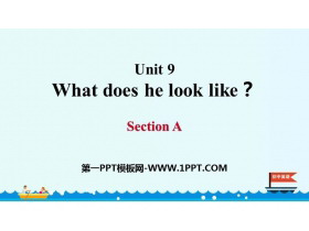 What does he look like?SectionA PPTn