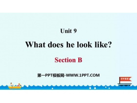 What does he look like?SectionB PPTn