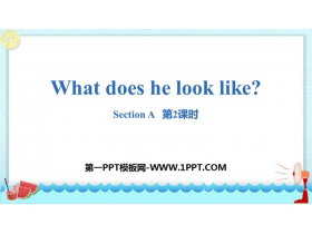 What does he look like?SectionA PPT(2nr)