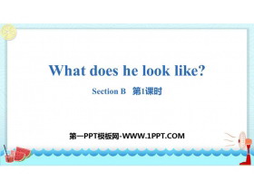 What does he look like?SectionB PPT(1nr)