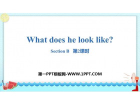 What does he look like?SectionB PPT(2nr)