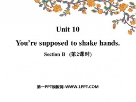 You are supposed to shake handsSectionB PPT(2ʱ)