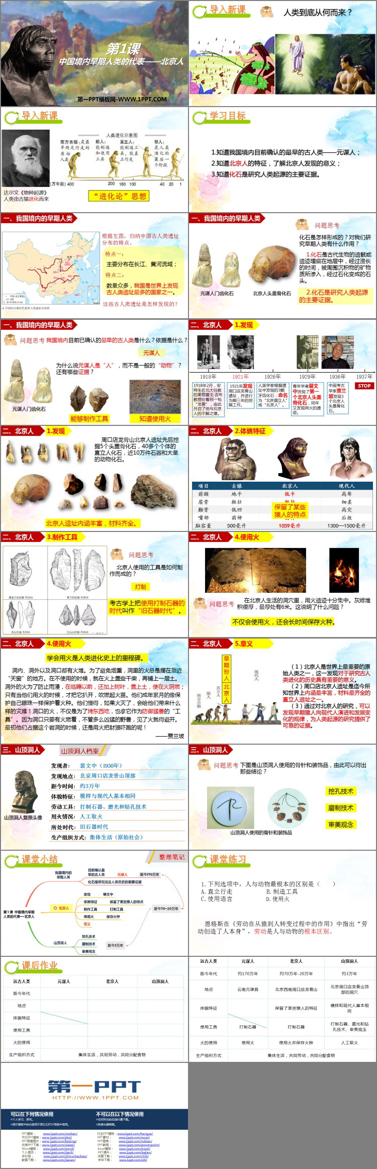 《中国早期人类的代表―北京人》PPT教学课件-预览图02