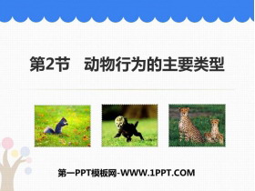 《动物行为的主要类型》PPT优秀课件