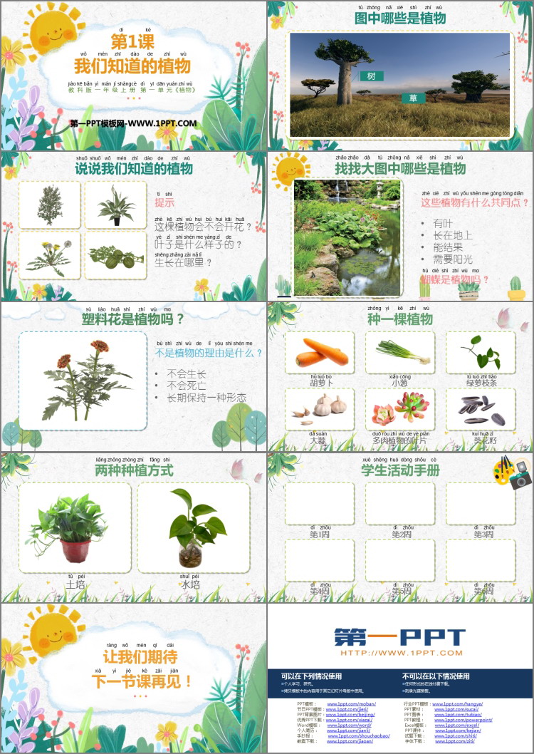 《我们知道的植物》PPT课件下载