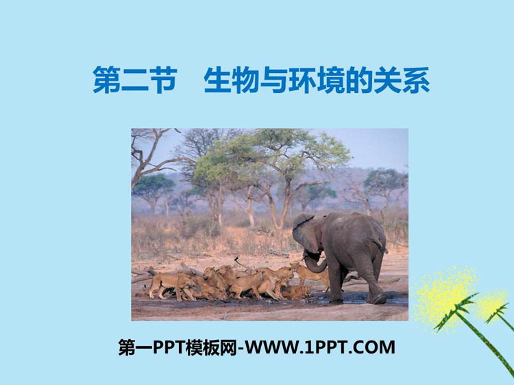 《生物与环境的关系》PPT优质课件下载-预览图01