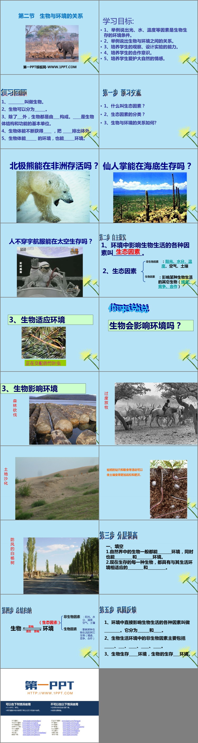 《生物与环境的关系》PPT优质课件下载-预览图02