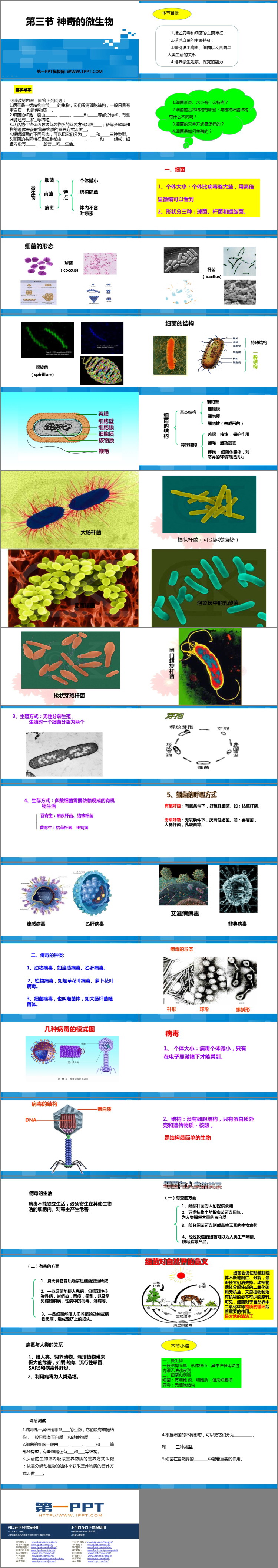 《神奇的微生物》PPT教学课件-预览图02