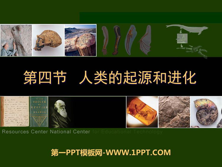 《人类的起源和进化》PPT优质课件-预览图01