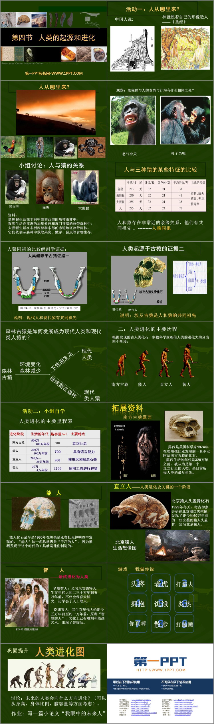 《人类的起源和进化》PPT优质课件-预览图02