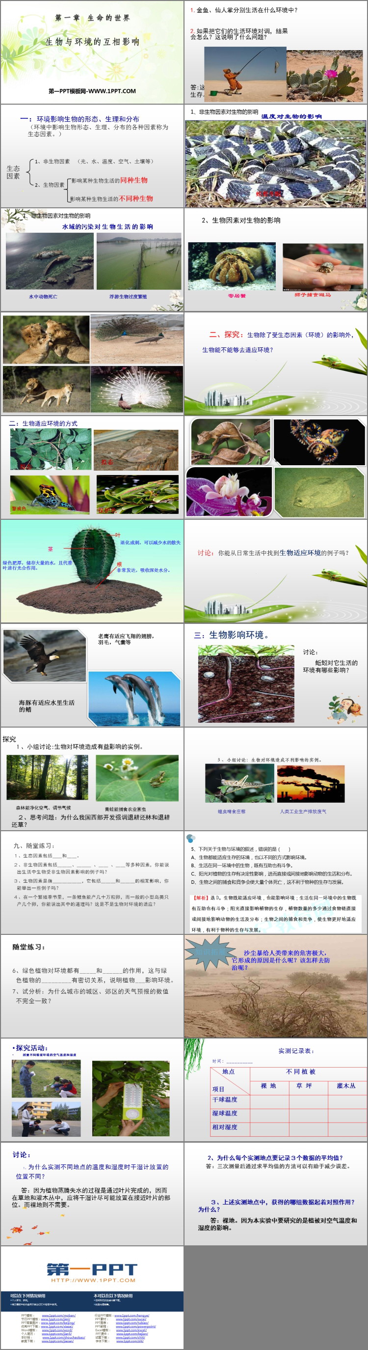 《生物与环境的相互影响》PPT优质课件-预览图02