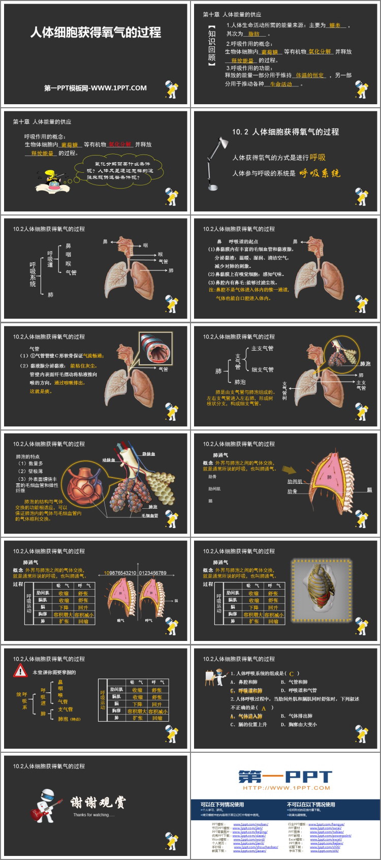 《人体细胞获得氧气的过程》PPT教学课件-预览图02