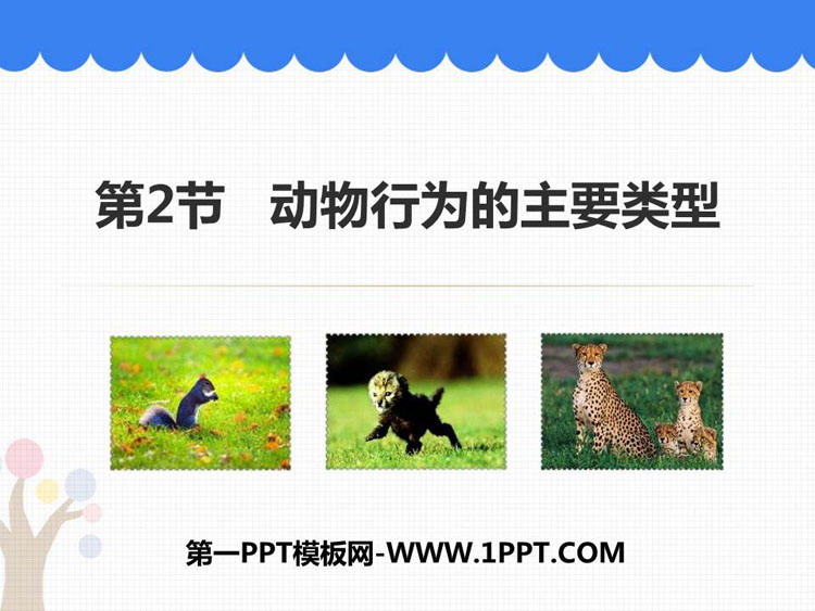 《动物行为的主要类型》PPT优秀课件-预览图01