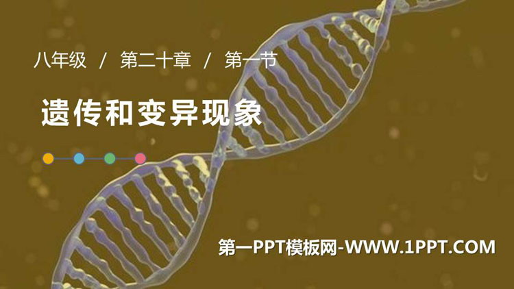 《遗传和变异现象》PPT教学课件