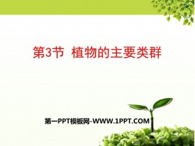 《植物的主要类群》PPT免费课件