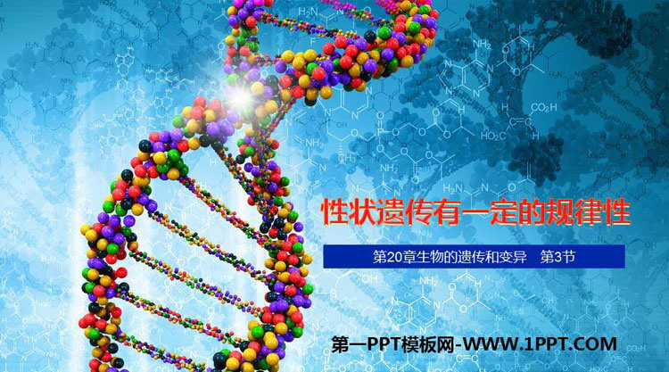 《性状遗传有一定的规律性》PPT课件下载