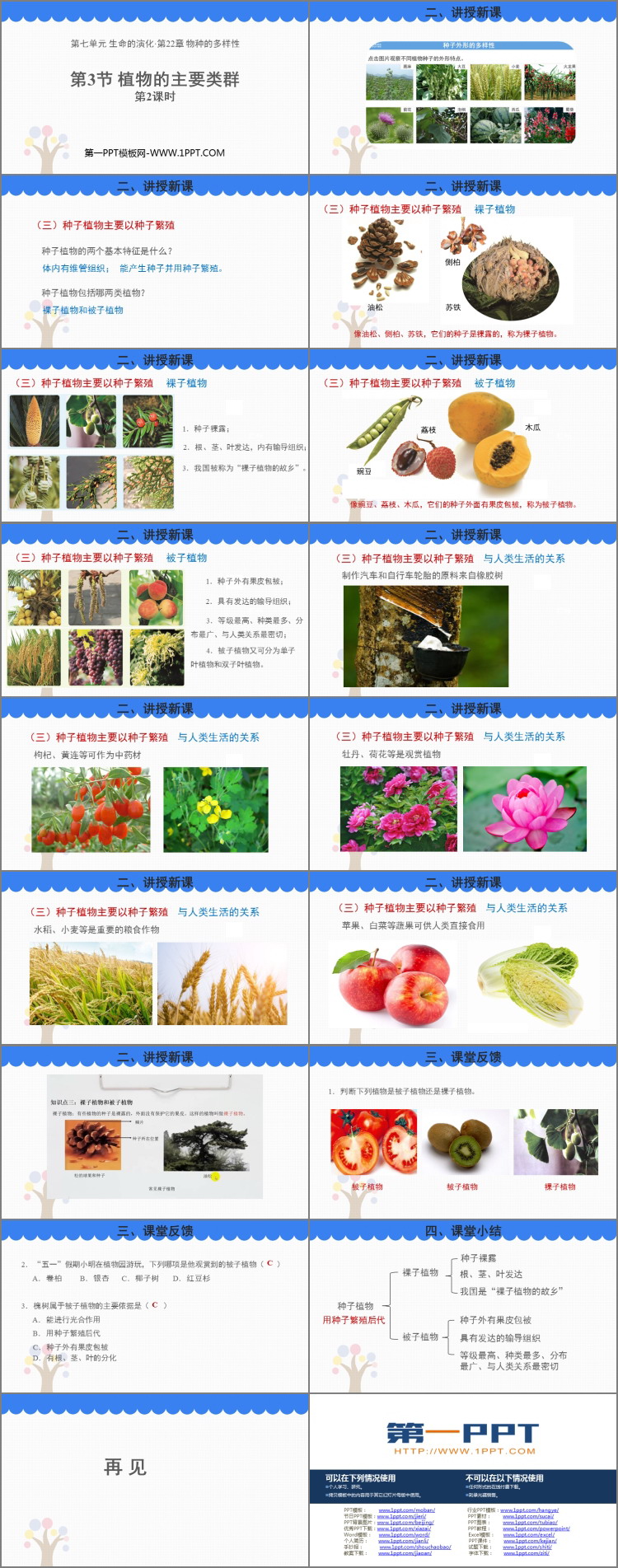 《植物的主要类群》PPT教学课件(第2课时)-预览图02