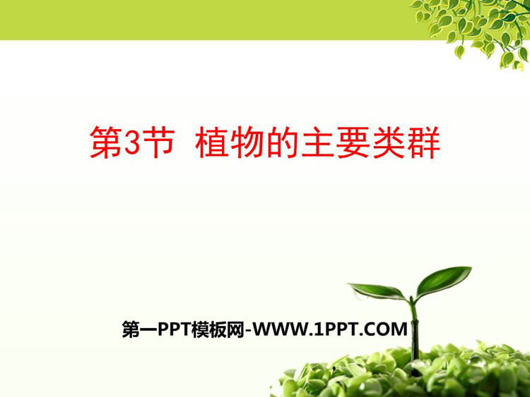 《植物的主要类群》PPT免费课件-预览图01