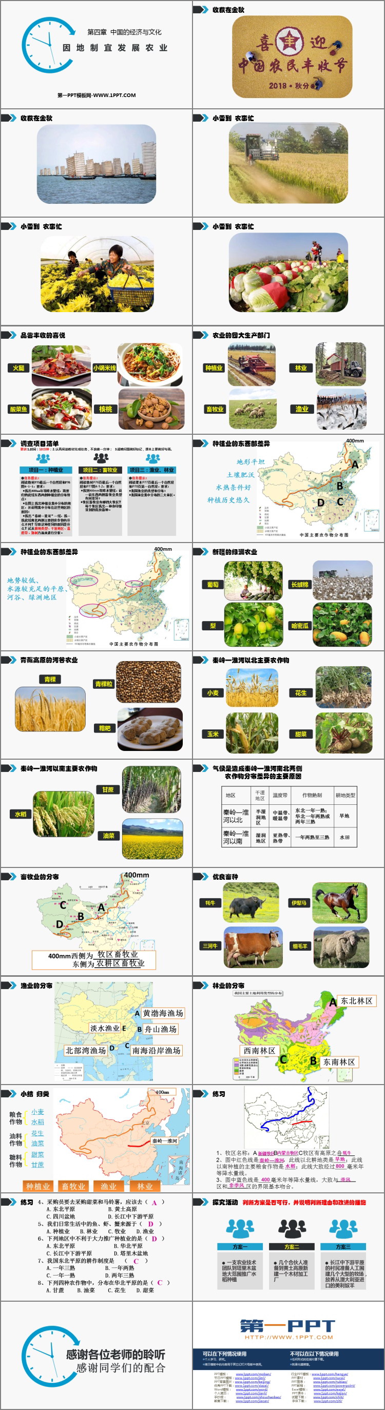《因地制宜发展农业》PPT教学课件-预览图02