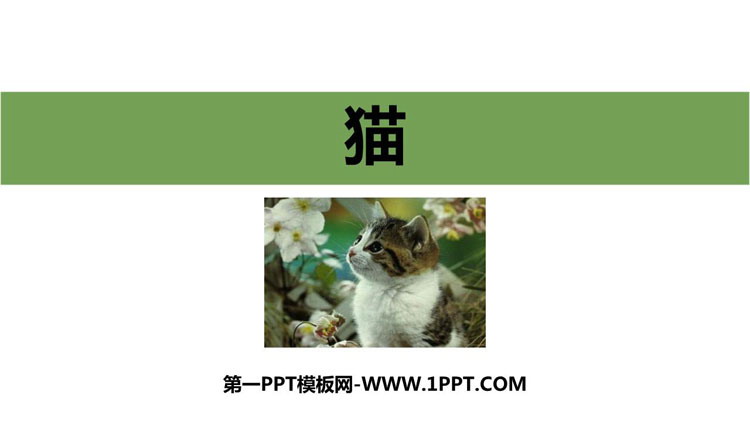 《猫》PPT教学课件(第1课时)-预览图01