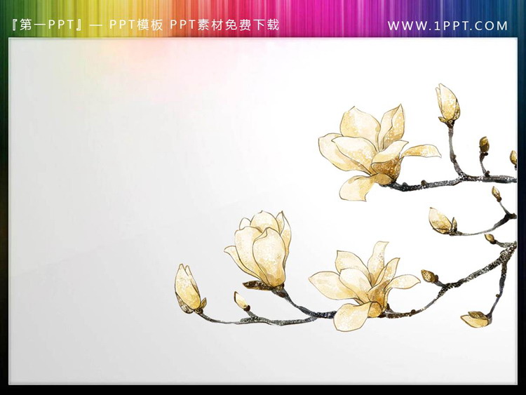 四张透明背景的春天里的花卉PPT素材