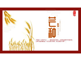 金色麦穗背景的芒种节气介绍PPT模板