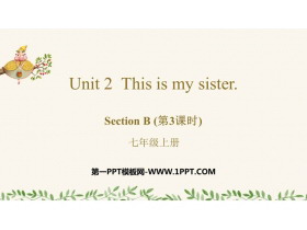 This is my sisterSectionB PPT(3ʱ)