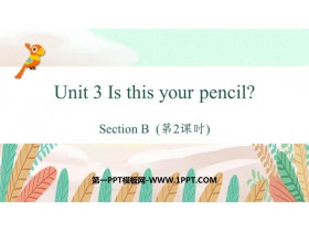 Is This Your Pencil?SectionB PPTѧμ(2ʱ)