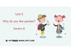 Why do you like pandas?SectionB PPTn