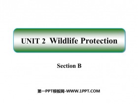 Wildlife ProtectionSectionB PPTd