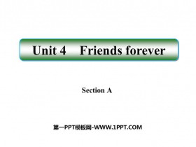 Friends foreverSectionA PPT