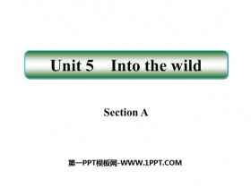 Into the wildSectionA PPTn