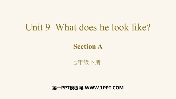 《What does he look like?》SectionA PPT教学课件