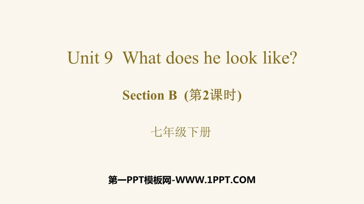 《What does he look like?》SectionB PPT教学课件(第2课时)