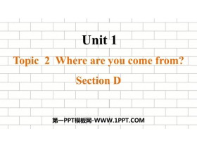 Where are you from?SectionD PPTμ