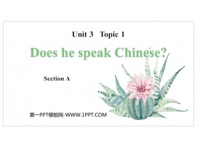 Does he speak Chinese?SectionA PPTμ
