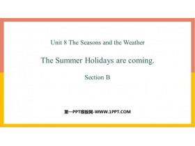 The summer holidays are comingSectionB PPTn