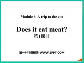 Does it eat meat?PPT(1ʱ)