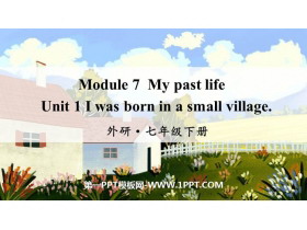I was born in a small villagemy past life PPT