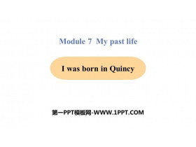 I was born in Quincymy past life PPTѿμ